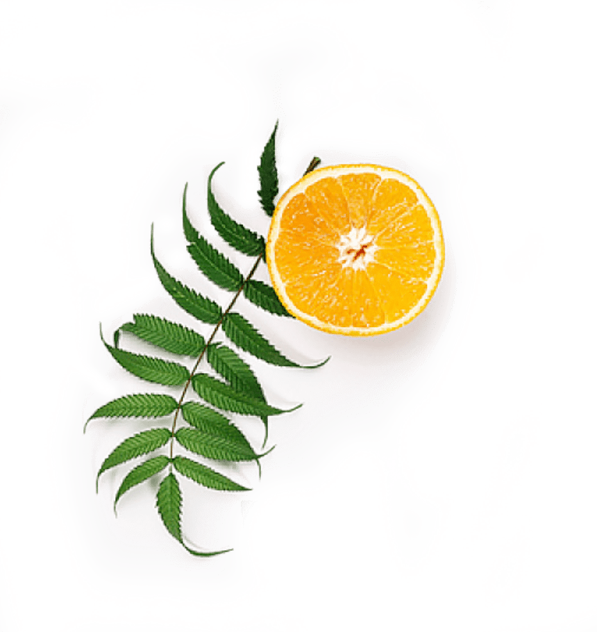 TOBACCO HOUSE - Всё для вашего кальяна